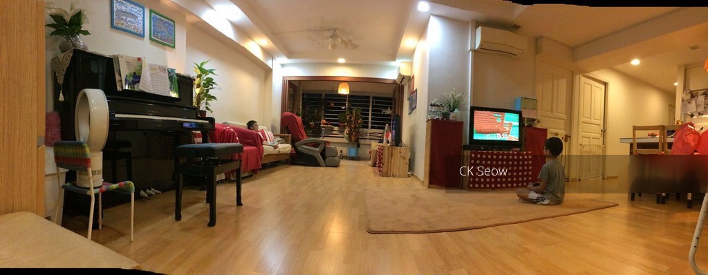 Blk 290B Bukit Batok Street 24 (Bukit Batok), HDB Executive #113316552